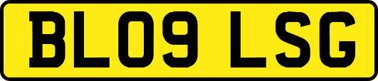 BL09LSG