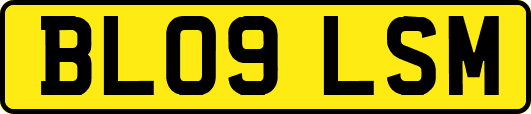 BL09LSM