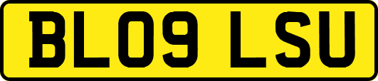 BL09LSU