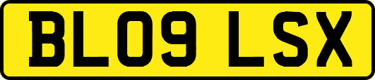 BL09LSX