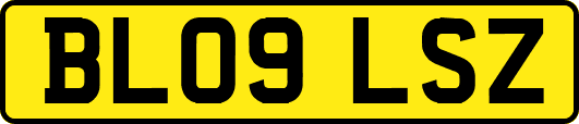 BL09LSZ