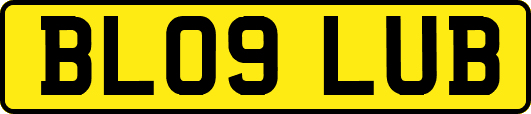 BL09LUB