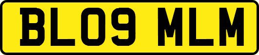 BL09MLM