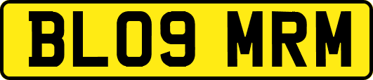 BL09MRM