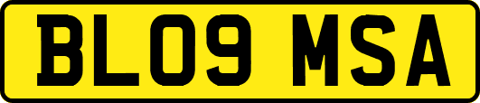 BL09MSA