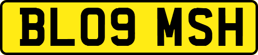BL09MSH