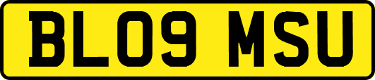 BL09MSU