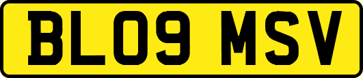 BL09MSV