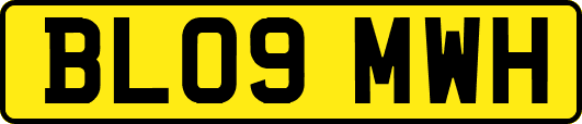 BL09MWH