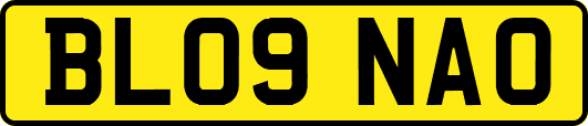 BL09NAO