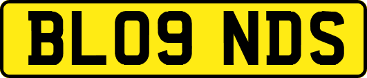 BL09NDS