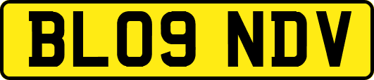 BL09NDV