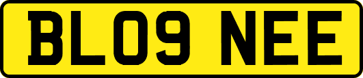 BL09NEE