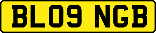 BL09NGB