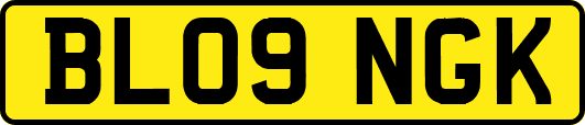 BL09NGK