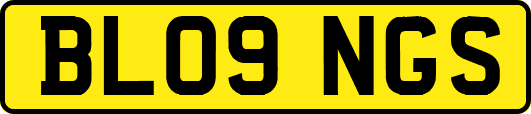 BL09NGS