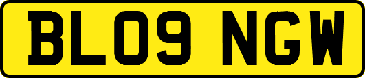 BL09NGW