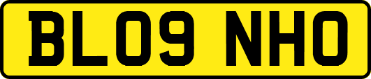 BL09NHO