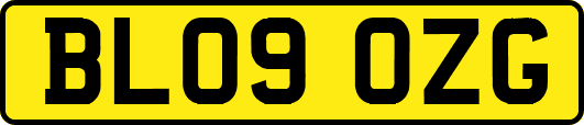 BL09OZG