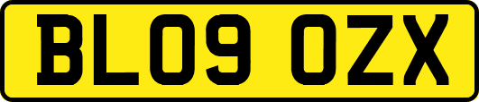 BL09OZX