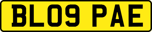 BL09PAE