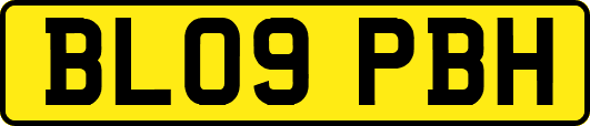 BL09PBH