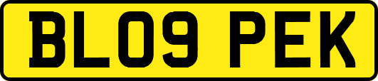 BL09PEK