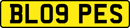 BL09PES