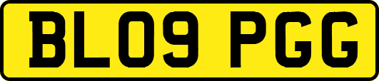 BL09PGG