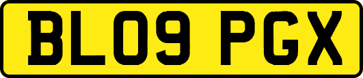 BL09PGX