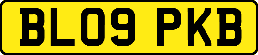 BL09PKB