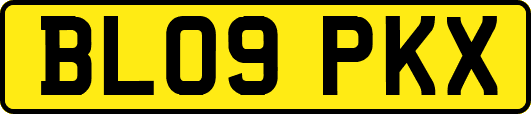 BL09PKX