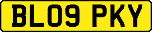 BL09PKY