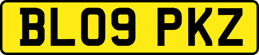 BL09PKZ