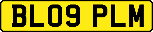 BL09PLM