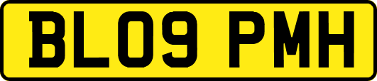 BL09PMH