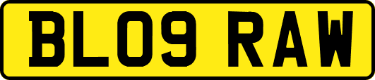 BL09RAW