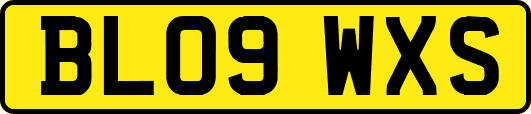 BL09WXS