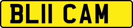 BL11CAM