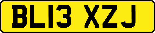 BL13XZJ