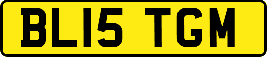 BL15TGM