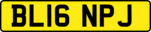 BL16NPJ