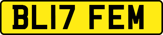 BL17FEM