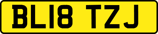 BL18TZJ