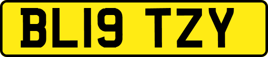 BL19TZY
