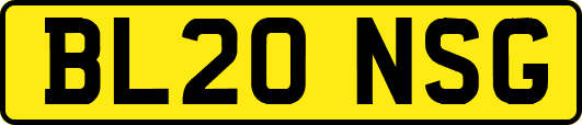 BL20NSG