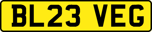 BL23VEG