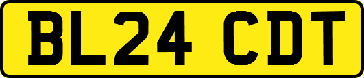 BL24CDT