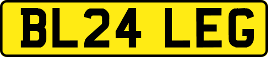 BL24LEG