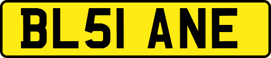 BL51ANE